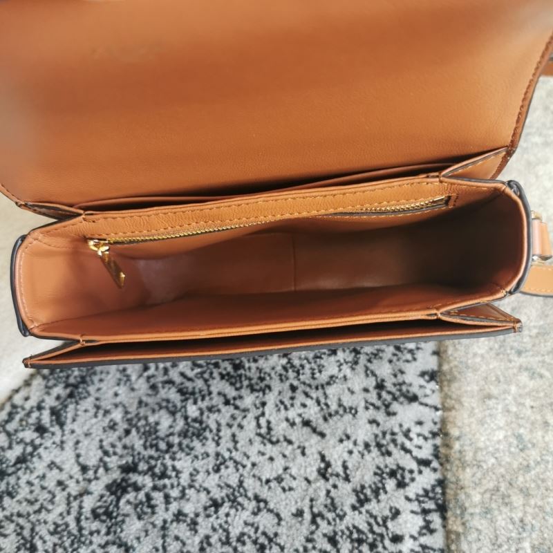 Celine Triomphe Bags